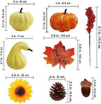 Winlyn 60 Pcs Assorted Small Artificial Pumpkins and Gourds with Acorns Pinecones Maple Leaves Sunflowers Fall Harvest Decoration Set for Thanksgiving Halloween Bowl Filler Table Centerpiece Wreaths