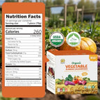 SUNGIVEN Organic Ramen Noodles Mixed Vegetable Healthy Low Sodium Ready in 3 Minutes Non-Fried Instant No Additives or Preservatives 2.47 OZ (Pack of 10)