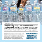 SPLASH REFRESHER Flavored Water Bottles, Lemon Flavor - 6-Pack, 16.9 Fl Oz - Refreshing Flavored Bottled Water with Electrolytes - Zero Sugar & Zero Calories