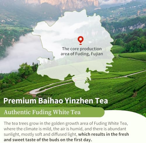 XIXICHA Silver Needle White Tea Loose Leaf Grade AAA Premium Silver Needle Tea Fuding White Tea Baihao Yinzhen Tea 80g/2.82oz 白茶 白毫银针 福鼎白茶 茶叶