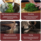 XIXICHA Puerh Tea Premium Broken Silver Ripe Pu-erh Tea Chinese Yunnan Ancient Tree Puer Aged Pu erh Strong Glutinous Rice Fragrance（200 cups） 普洱茶 碎银子茶 中国熟普洱茶 茶化石 8.8oz/250g