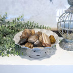 Crystal Allies Materials: 1 Pound Bulk Half Tumbled Petrified Wood Crystal Reiki Healing Stones Large 1"