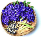 100+ Butterfly Pea Flower Seeds HOA Dau Biec Organic Clitoria Ternatea for Home Garden Blue Butterfly Pea Asian Pigeonwings Tropical Vine Plant Perfect for Tea, Landscaping, and Decorations