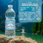 Sant'Anna Still Mineral Water, 16.9 Fl Oz Bottles (6-Pack) | Pure Italian Alps Mountain-Fresh Drinking Water | Natural Functional Drink | Sodium-Free, Nitrate-Free, Sulfate-Free in BPA-Free Bottles