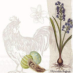 IHR - Botanical Easter Luncheon Napkin L732200 3ply 20 Count