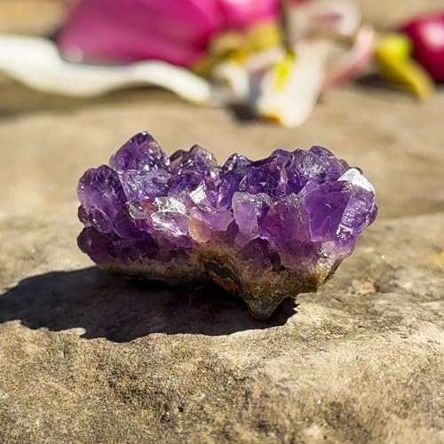 Amethyst Healing Crystal Set,Amethyst Pendulum, Natural Amathesis Crystal Clusters & 7 Raw Stones Chakra Balancing, Reiki, Energy Healing Real Gemstones for Beginners Gifts