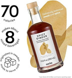 Aarke Drink Mixer, Effortless Mixing for Your Home Bar, Crafted Elixir to Complement Your Aarke Carbonator, Each Glass Bottle Makes 8 Beverages (Spicy Ginger)