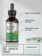 Horbäach St Johns Wort Tincture | 2 Fl Oz | Alcohol Free | Vegetarian Liquid Extract | Non-GMO, Gluten Free Supplement