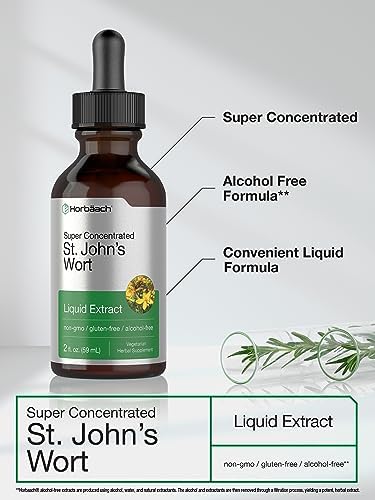 Horbäach St Johns Wort Tincture | 2 Fl Oz | Alcohol Free | Vegetarian Liquid Extract | Non-GMO, Gluten Free Supplement