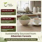 Organic Way Horsetail Herb Cut & Sifted (Equisetum arvense) - Herbal Tea | European Wild-Harvest | Kosher & USDA Certified | Vegan, Non-GMO & Gluten Free | 100% Raw from Albania (1/4LBS / 4Oz.)