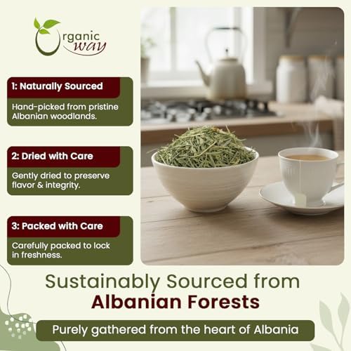 Organic Way Horsetail Herb Cut & Sifted (Equisetum arvense) - Herbal Tea | European Wild-Harvest | Kosher & USDA Certified | Vegan, Non-GMO & Gluten Free | 100% Raw from Albania (1/4LBS / 4Oz.)
