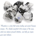 GolbalJew Moonstone Natural Raw Crystals 2PCS Healing Crystal Stones 1.2-2.0” Reiki Healing Gemstones for Meditation Chakra Balance Home Decor