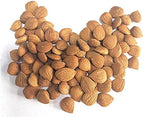 Natural Raw Bitter Apricot Kernels 16oz, Organic USDA Certified Bitter Apricot Seeds 1LB