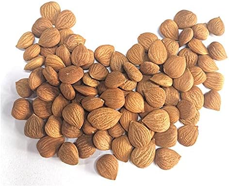 Natural Raw Bitter Apricot Kernels 16oz, Organic USDA Certified Bitter Apricot Seeds 1LB