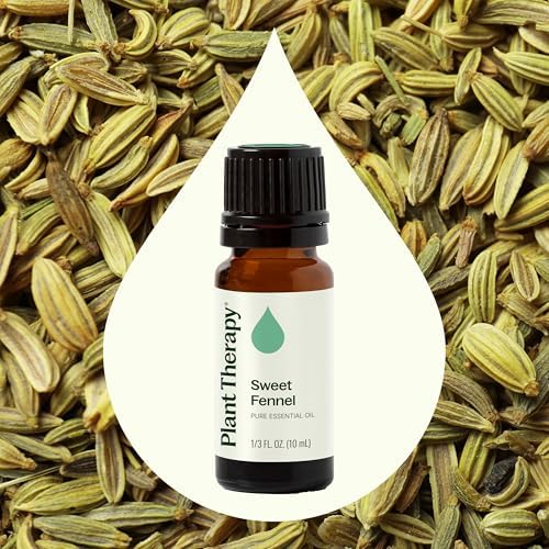 Plant Therapy Sweet Fennel Essential Oil 10 mL (1/3 oz) 100% Pure, Undiluted, Aromatherapy for Attention, Focus, and Digestive Discomfort