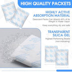 10 Pack 200 Gram Silica Gel Packets Desiccant Packs for Storage Food Safe Moisture Absorber Packs for Spices Jewelry Clothes Shoes Electronics Seeds Safes, Etc