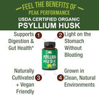 Peak Performance USDA Organic Psyllium Husk Vegan Capsules Made with Seed - Fiber Supplement for Gut - Digestive Prebiotics - for Digestion and Roughage Without Bloating - Vegan, Gluten-Free Pills
