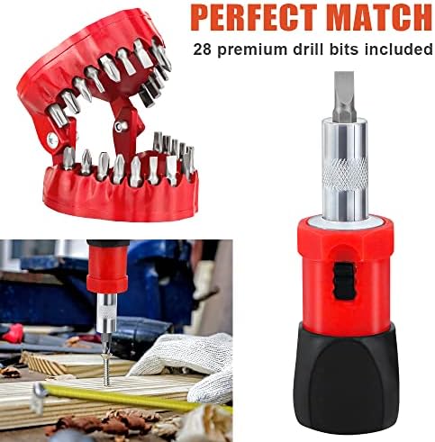 Screwdriver Bit Organizing Holder Set | Dentist Gifts for Men|Magnetic Denture Drill Bit Holder with 28 Drill Bits |Fits 1/16"-1/4" Hex Bit and Drive Bit Adapter (Red)