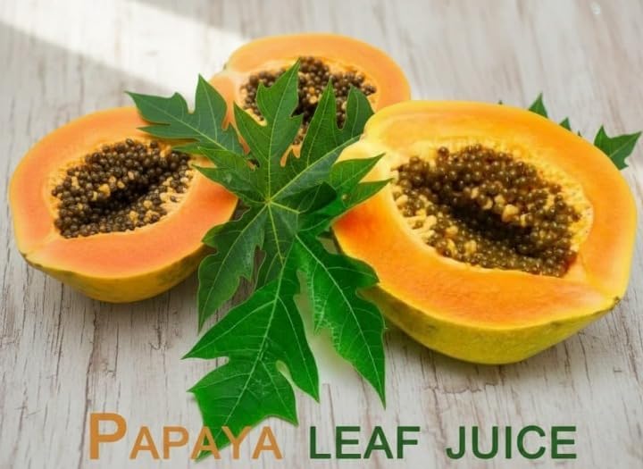Papaya Leaf Powder Papita Leaf | Pappali Ilai | Carica Papaya - 50 gm