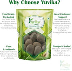 YUVIKA Karanjwa | Sagar Goti - Pongamia Pinnata - Caesalpinia Bonducella - Fever Nuts (100 Grams)