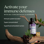 New Chapter Elderberry Syrup, 24 Servings, Immune Defense for Adults & Kids (2+), 64x Concentrated Black Elderberry + Throat-Soothing Grade A Honey, Non-GMO Project Verified, Gluten Free