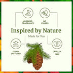 SVA Fir Balsam Essential Oil Organic – 1 Fl Oz – 100% Natural Organic Fir Oil - for Diffuser, Hair Care, Face, Skin Care, Aromatherapy, Scalp and Body Massage, Soap and Candle Making – with Dropper