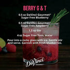 DaVinci Gourmet Sugar-Free Blueberry Syrup, 25.4 Fluid Ounces (Pack of 1)