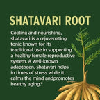 Banyan Botanicals Organic Shatavari Tablets – Rejuvenating Tonic for Feminine Vitality & Reproductive Health – Cooling Adaptogen for Internal Balance & Stress Support – 90 Tablets – USDA Organic