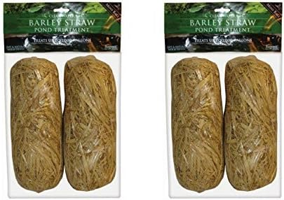Summit 130 Clear-water Barley Straw Bales DmsqWj, 4 Bales