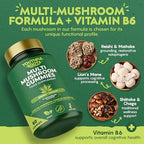 Multi Mushroom Gummies 6-in-1 with Lions Mane, Reishi, Shiitake & Vitamin B6 - Focus, Energy & Vitality - Vegan & Sugar-Free - 60 Gummies for Kids & Adults