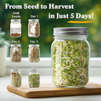Seedboy Organic Non-GMO Sprouting Seeds, Fresh Salad Blend - USA Grown Microgreens Mix with Alfalfa, Broccoli, Radish, Mung Bean & Lentil - 8 oz Bag Makes 8 Quarts / 32 Servings (Salad Blend)