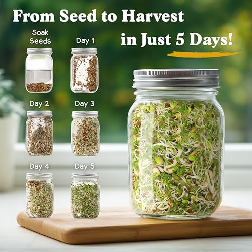 Seedboy Organic Non-GMO Sprouting Seeds, Fresh Salad Blend - USA Grown Microgreens Mix with Alfalfa, Broccoli, Radish, Mung Bean & Lentil - 8 oz Bag Makes 8 Quarts / 32 Servings (Salad Blend)