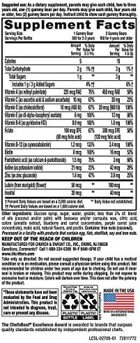 Gummy Vites Children's Chewable Gummy Bear Multivitamin Dietary Supplement, 300 Count