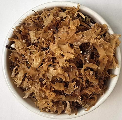 Irish Moss - Chondrus Crispus L - Herbal Tea (100g)