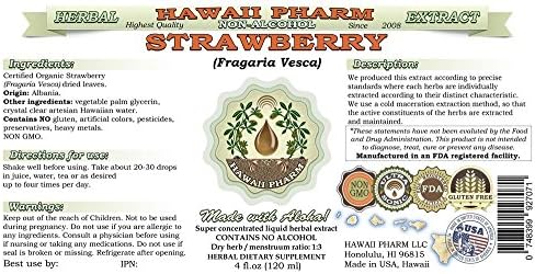 Hawaii Pharm Strawberry Alcohol-Free Liquid Extract, Professional Grade, Small Batch Crafted Strawberry (Fragaria Vesca) Dried Leaf Glycerite Natural Herbal Supplement, 2 fl.oz