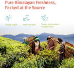 NEPAL TEA Organic Loose Leaf Oolong Tea - USDA Certified Organic Oolong Tea Loose Leaf - Premium Tea Leaves from a Family Farm in the Himalayas - Enjoy Hot or Iced - 3.5oz /100g (Shangri-La Oolong)