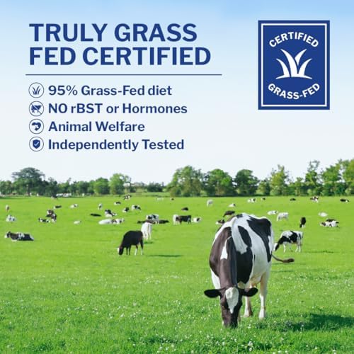 Opportuniteas Grass Fed Whey Protein Powder Concentrate - Chocolate - Pure Protein Supplement - Non GMO, Hormone Free & Gluten Free - 1lb