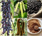 QURA Hardia Kaunch Beej Black kaunch Beej 100 gm White Kaunch Beej 100 gm Combo Pack 200 gram