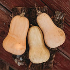 Waltham Butternut Squash - 25 Seeds - Heirloom & Open-Pollinated Variety, Non-GMO Vegetable Seeds for Planting in The Home Garden, Thresh Seed Company