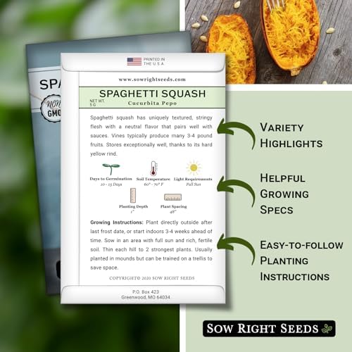 Sow Right Seeds - Spaghetti Squash Seeds for Planting - Non-GMO Heirloom Packet with Instructions to Plant and Grow an Outdoor Home Vegetable Garden - Roast and Enjoy Eating This Favorite Variety (1)