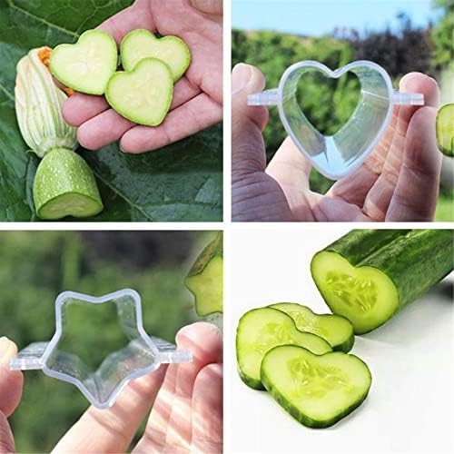 4Pcs Cucumber Styling Growth Mold Plastic Heart Shaped Five-Pointed Star Transparent Garden Fruit Vegetable Growing Molds(Star+Heart)