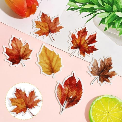 48 PCS Edible Edible Fall Leaves Cupcake Toppers Wafer Paper Autumn Maple Leaves Cupcake Picks Edible Gold leaf Cupcake Decorations for Thanksgiving Baby Shower Birthday Party Cake Decor Supplies
