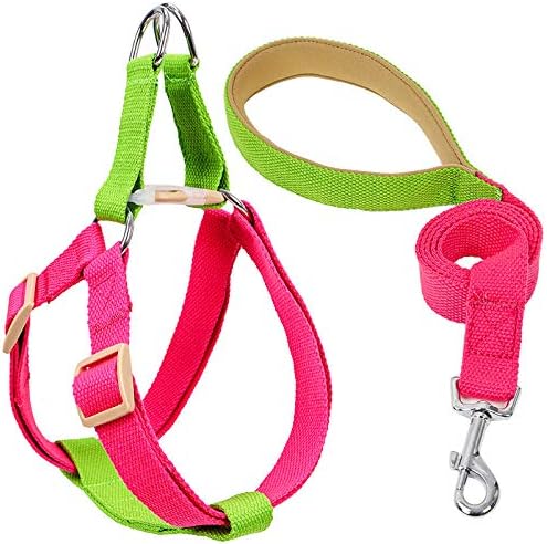 Rainbow Multi-Colour Dog Harness and Leash Set, Adjustable Easy to Wear Dog Harness and Leash Set (Green Red,Medium)