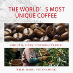 VUNJO Wild Kopi Luwak Coffee Beans, Medium Roast, Civet Coffee - Sustainably Sourced From Vietnam,3.5oz / 100 Grams
