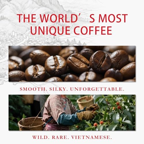 VUNJO Wild Kopi Luwak Coffee Beans, Medium Roast, Civet Coffee - Sustainably Sourced From Vietnam,3.5oz / 100 Grams