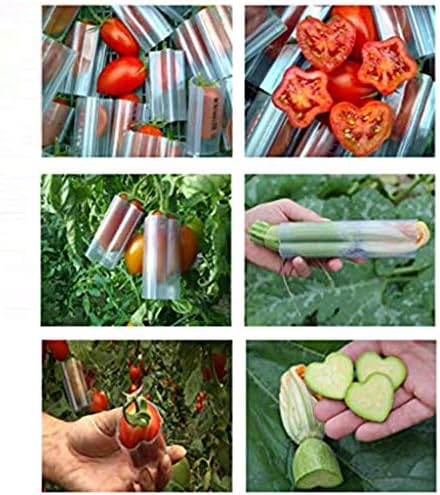 2 Pcs Vegetable Growing Molds, Heart-Shaped Fruit Growth Molds Cucumber MoldFruit Shaping MoldsFruit GrowingMolds Shaping Tool for Garden Yard