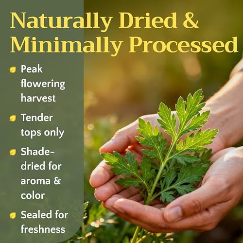 Mugwort Herb Tea - Dried Cut and Sifted Leaves Steams - Artemisia Vulgaris - Natural Mugwort Herbal Tea Loose Leaf Stem, Bulk 2 oz (56g)