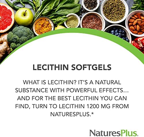 NaturesPlus Lecithin 1200 mg - 90 Softgels - Rich in Soy Phosphatides - Gluten Free - 90 Servings