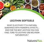NaturesPlus Lecithin 1200 mg - 90 Softgels - Rich in Soy Phosphatides - Gluten Free - 90 Servings