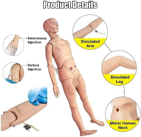 Patient Care Manikin Training 5.57FT Life Size, Anatomical Human Model Training CPR Simulator Basic, Full Body Training Mannequin, for Students Nursing Education Teaching Skills